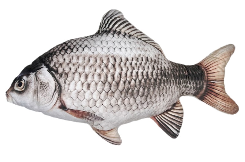 Іграшка м’яконабивна «КАРАСЬ СРІБНИЙ 70см  K-S-70