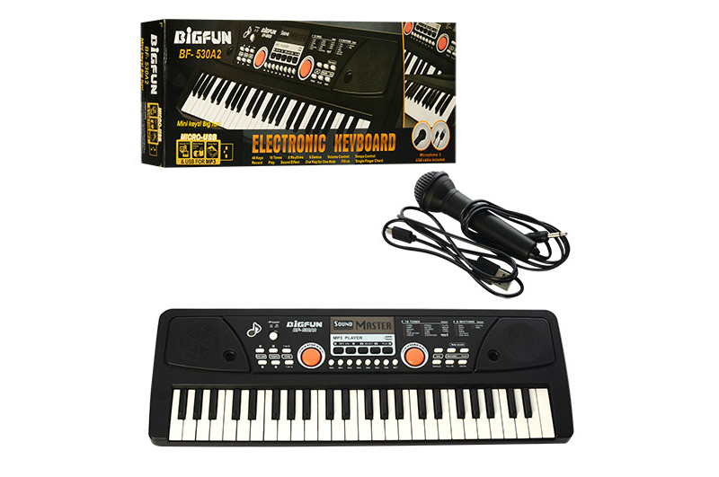 Синтезатор BF-530A2 (24шт) 49 клавіш,мікрофон,USB,mp3,запис,Demo,живлення від мережі,кор.,53-19-6см