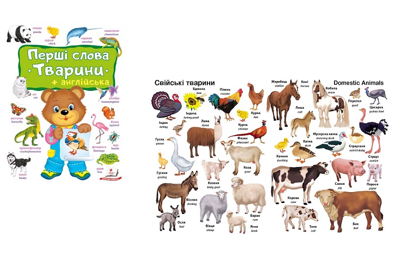 Книга КА4 Перші слова. Тварини + Англійська, укр./10 Пег5113