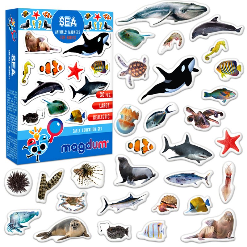 Magnetic set Sea photo" ML4031-28 EN"