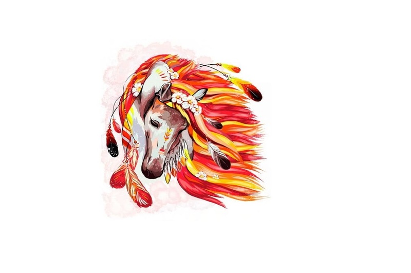 40см*50см екон. KpNe-01-07 №7 Вогняний кінь  Картина за номер. на полотні  укр (10)