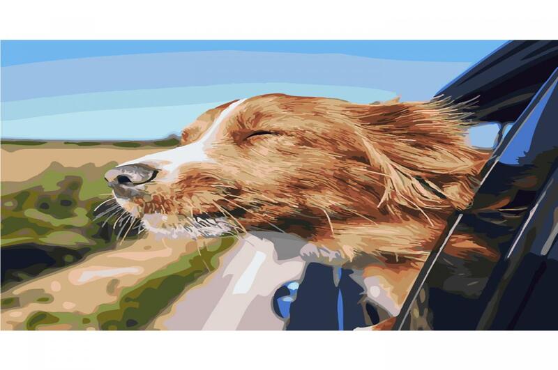 Картина по номерах SY6347 Відчуття свободи", розміром 40х50 см"