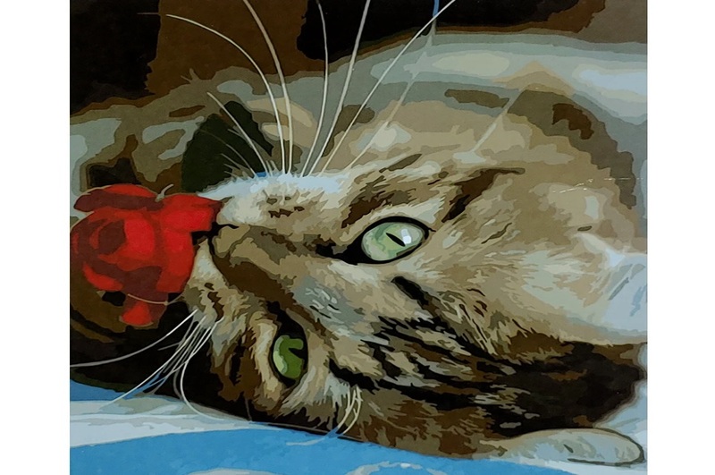 Картина по номерах Котик з квіткою SY6916 Strateg розміром 40х50 см