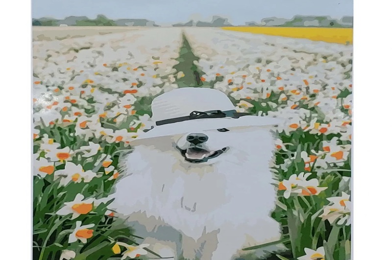 Картина по номерах Самоїд серед нарцисів SY6833 Strateg з лаком та рівнем розміром 40х50 см