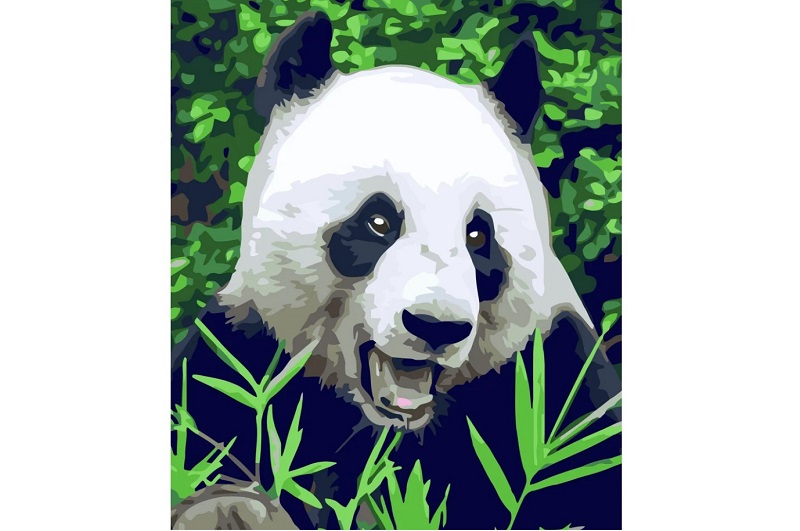 Картина по номерах Голодна панда Strateg розміром 40х50 см (GS517) БЕЗ ЛАКУ