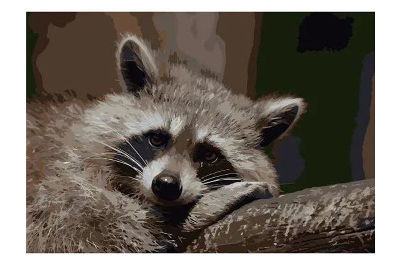 Картина по номерах Сумний єнотик Strateg розміром 40х50 см (DY087)