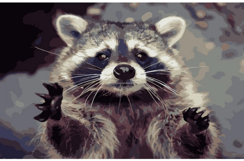 Картина по номерах Єнот Strateg розміром 40х50 см (GS922)