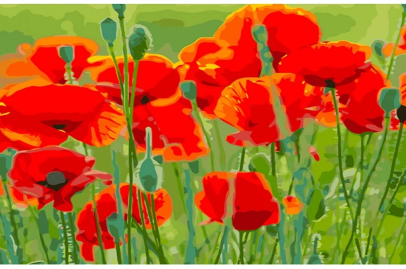 Картина по номерах Маки в полі Strateg розміром 40х50 см (GS1179)