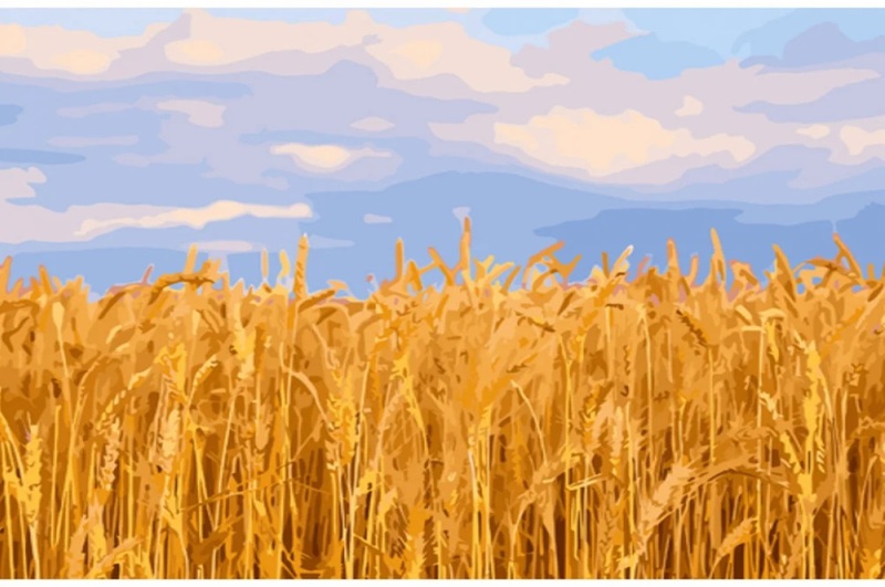 Картина по номерах Пшеничне поле Strateg розміром 40х50 см (GS1337)